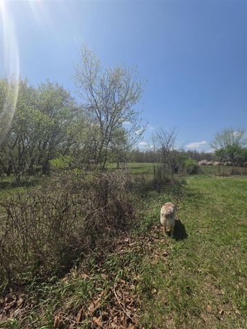 1627 W Barnes Road, Leslie, MI 49251