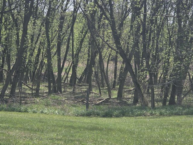 1627 W Barnes Road, Leslie, MI 49251