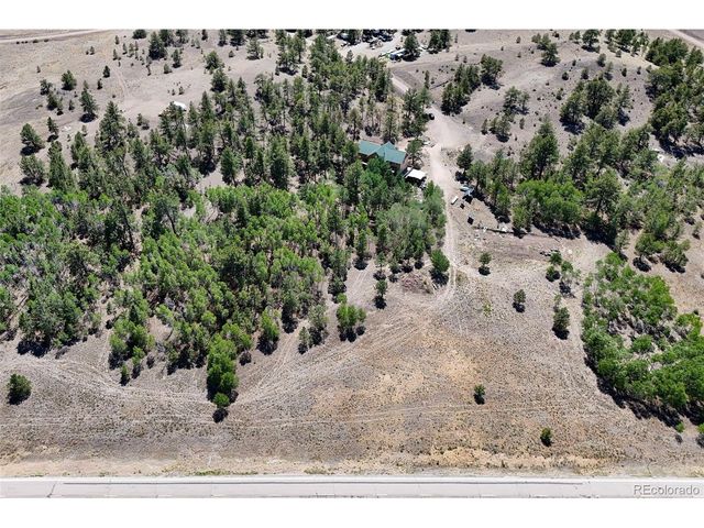 114 Ranier Ln, Hartsel, CO 80449