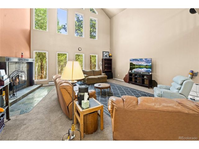 114 Ranier Ln, Hartsel, CO 80449