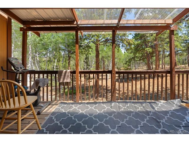 114 Ranier Ln, Hartsel, CO 80449