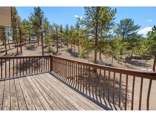 114 Ranier Ln, Hartsel, CO 80449