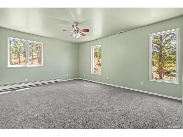 114 Ranier Ln, Hartsel, CO 80449