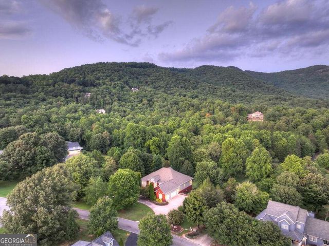 4165 Asheland Cove Drive, Young Harris, GA 30582