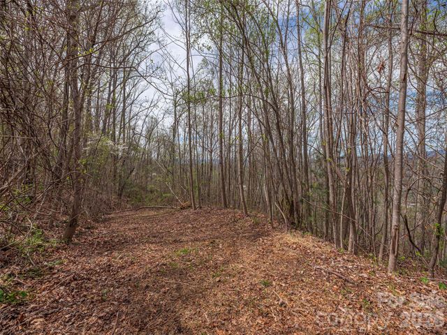 137 & 145 Cedar Mountain Road, Asheville, NC 28803