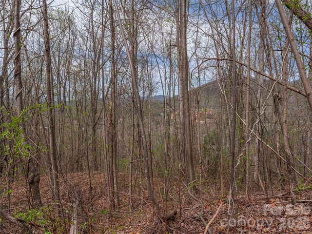 137 & 145 Cedar Mountain Road, Asheville, NC 28803