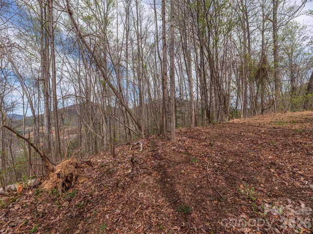 137 & 145 Cedar Mountain Road, Asheville, NC 28803
