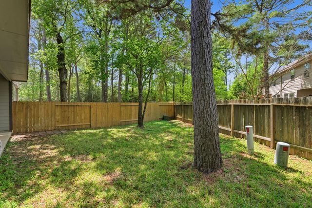 19 Aquiline Oaks Place, The Woodlands, TX 77382