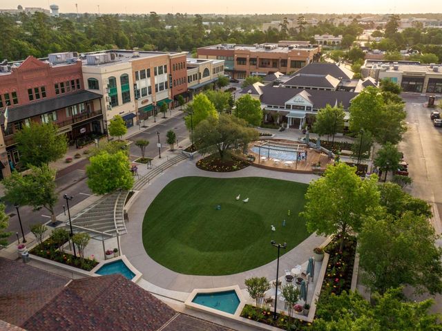 19 Aquiline Oaks Place, The Woodlands, TX 77382