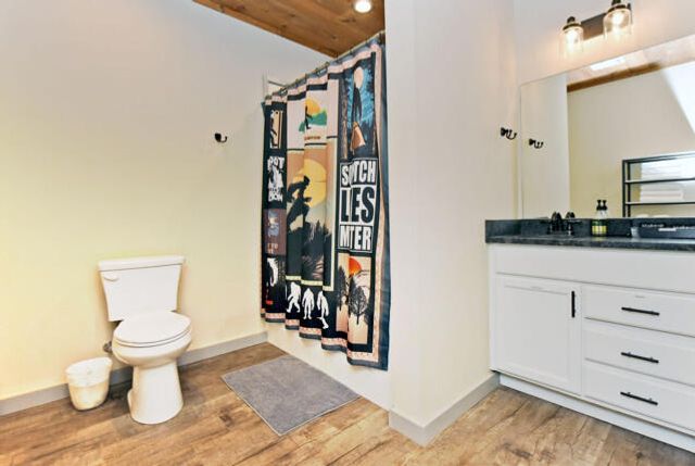 747 Matrix Lane, Ellijay, GA 30540