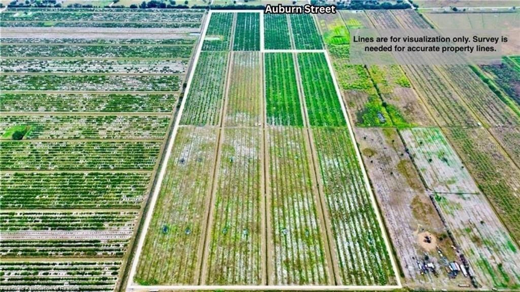 3288 AUBURN STREET, Lorida, FL 33857