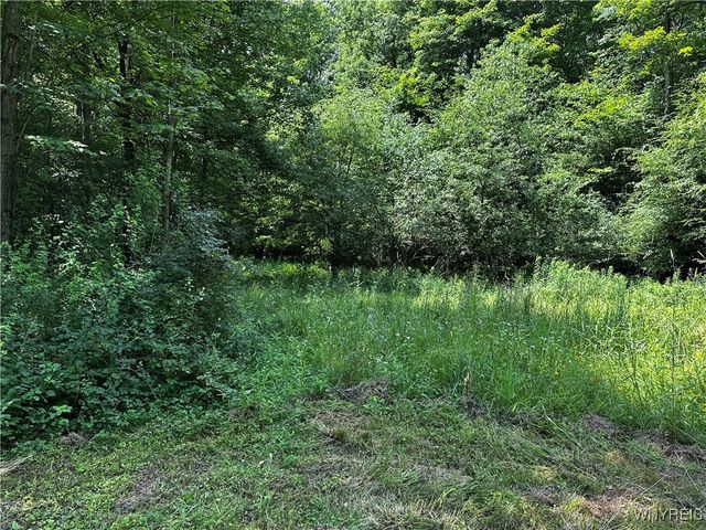 6659 Cross Road, Great Valley, NY 14741