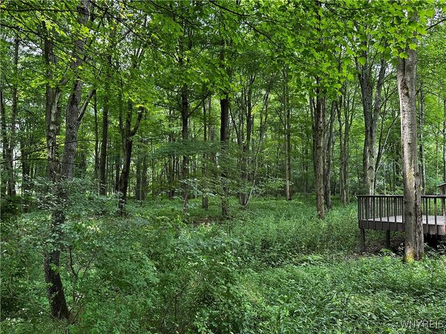 6659 Cross Road, Great Valley, NY 14741