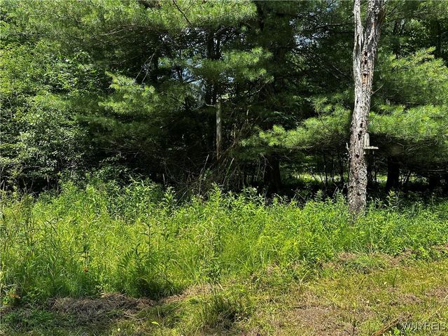 6659 Cross Road, Great Valley, NY 14741