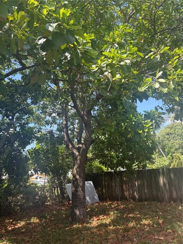 2530 Washington St, Hollywood, FL 33020