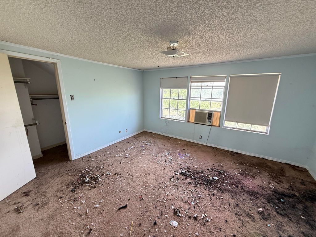 Image 18 of property listing at 253 N Sims Avenue, Paint Rock, TX 76866