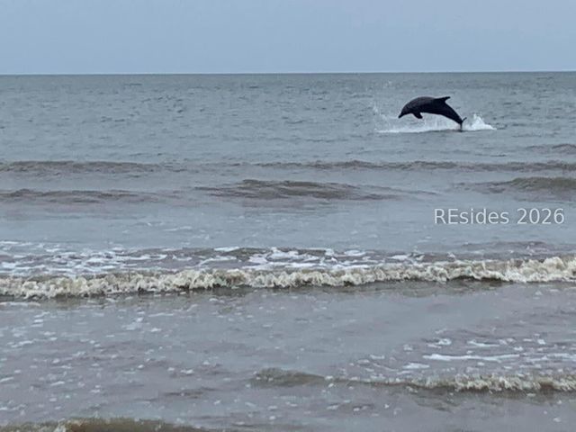 11 Tanglewood Dr Apt 34, Hilton Head Island, SC 29928