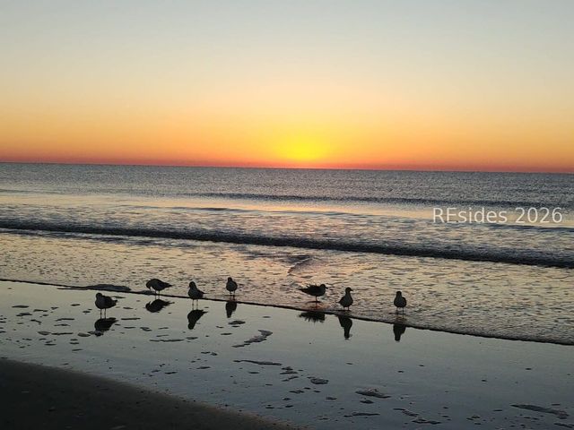 11 Tanglewood Dr Apt 34, Hilton Head Island, SC 29928