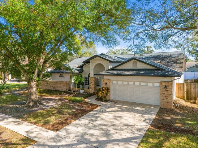2917 STARMOUNT DRIVE, Valrico, FL 33596