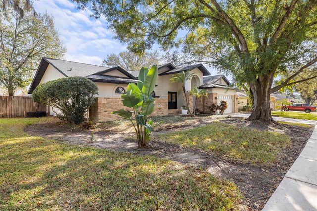2917 STARMOUNT DRIVE, Valrico, FL 33596