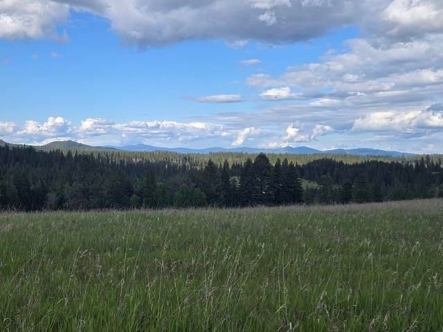 5266 Wagner Rd, Springdale, WA 99173