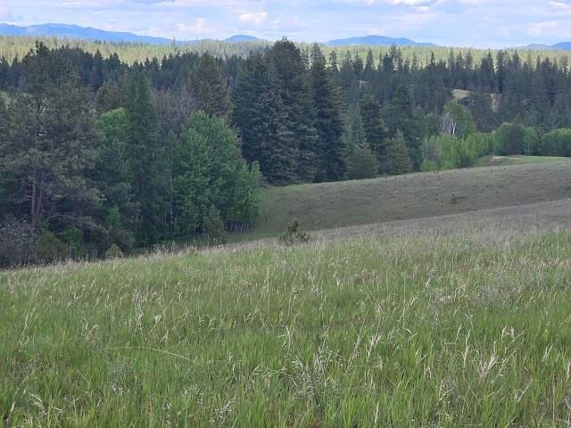 5266 Wagner Rd, Springdale, WA 99173