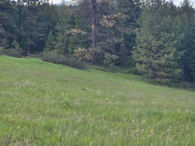 5266 Wagner Rd, Springdale, WA 99173