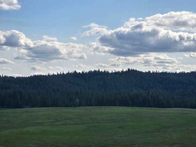 5266 Wagner Rd, Springdale, WA 99173