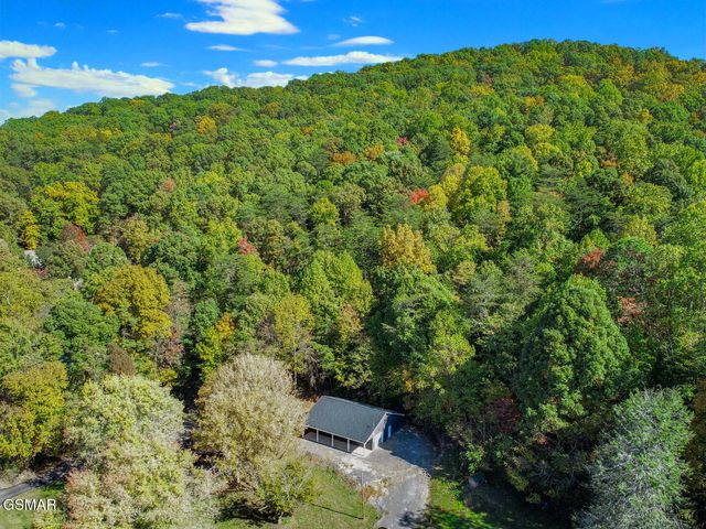 Par. 28.09 Piney Mtn. Rd, Newport, TN 37821