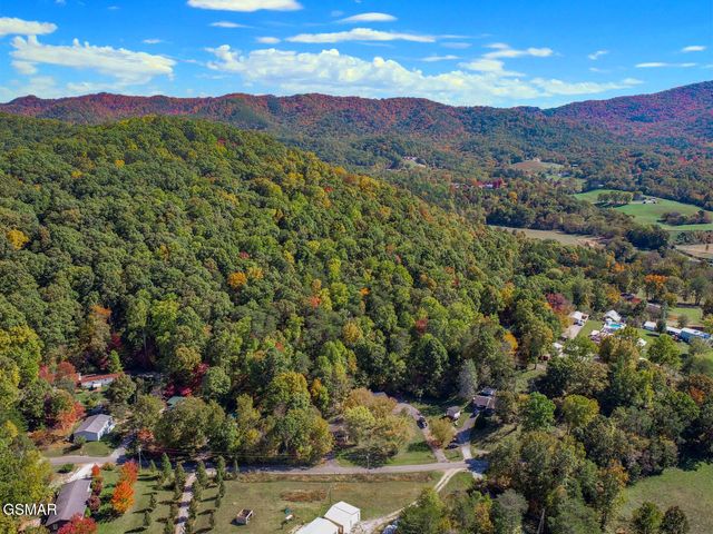 Par. 28.09 Piney Mtn. Rd, Newport, TN 37821