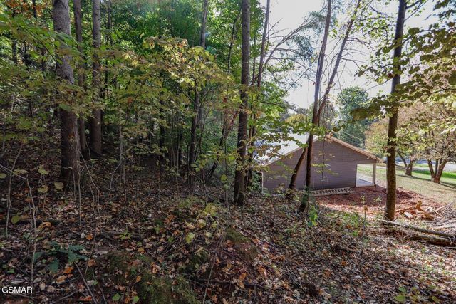 Par. 28.09 Piney Mtn. Rd, Newport, TN 37821