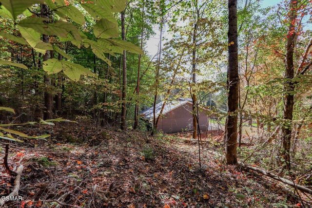 Par. 28.09 Piney Mtn. Rd, Newport, TN 37821