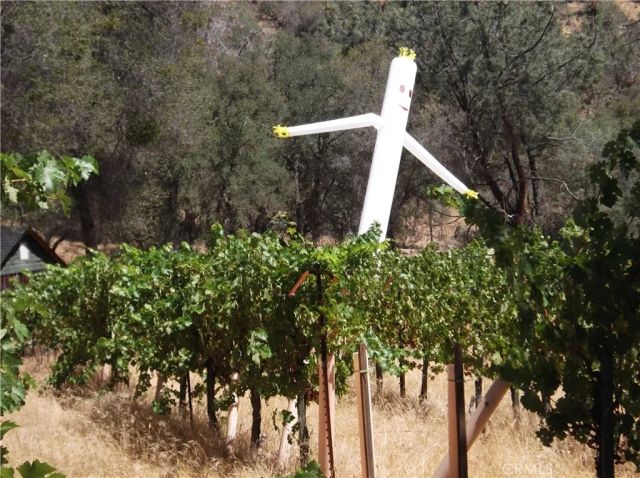 49610 House Ranch Rd, O'neals, CA 93645