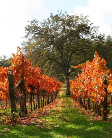 49610 House Ranch Rd, O'neals, CA 93645