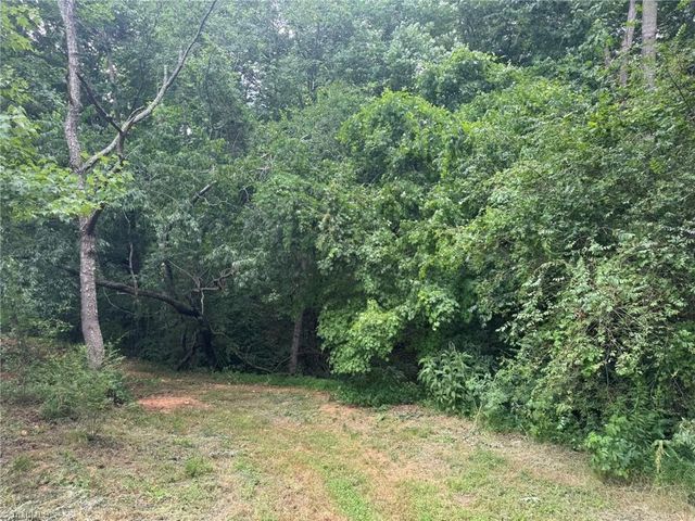 3028 Quaker Church Road, Pinnacle, NC 27043