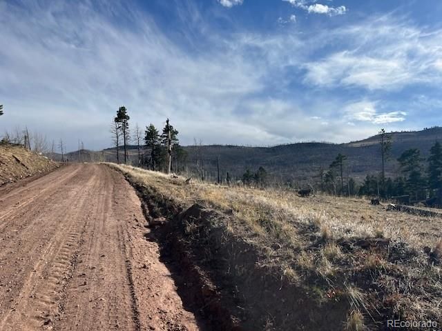 Lot 1020 & 1021 Hassan Lane, Fort Garland, CO 81133