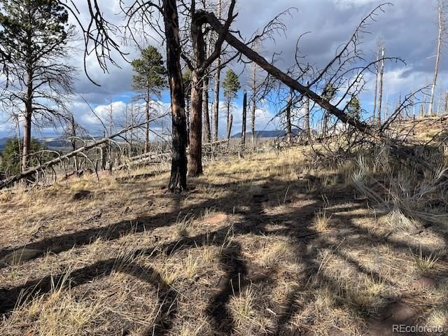 Lot 1020 & 1021 Hassan Lane, Fort Garland, CO 81133