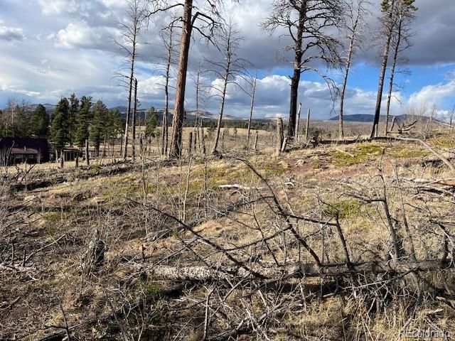 Lot 1020 & 1021 Hassan Lane, Fort Garland, CO 81133