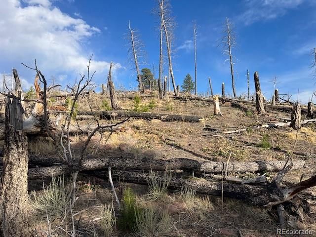 Lot 1020 & 1021 Hassan Lane, Fort Garland, CO 81133