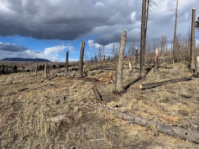 Lot 1020 & 1021 Hassan Lane, Fort Garland, CO 81133