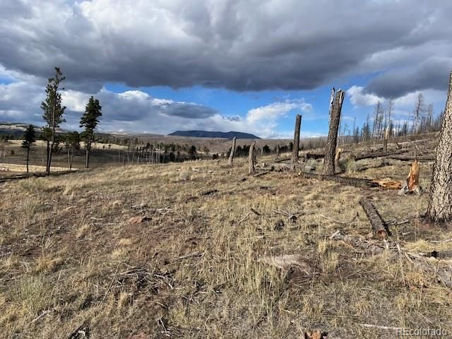 Lot 1020 & 1021 Hassan Lane, Fort Garland, CO 81133