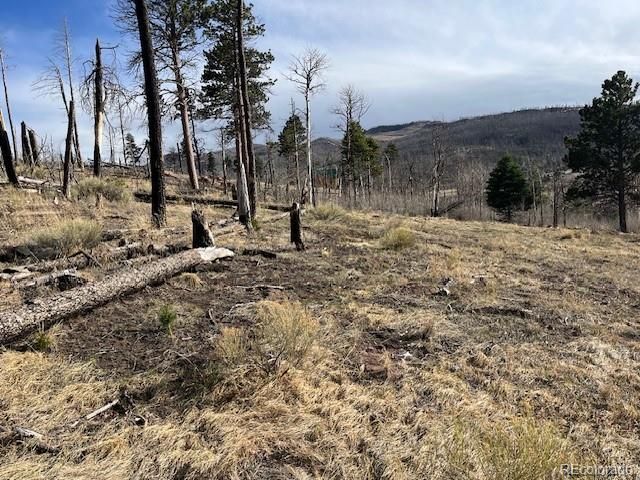 Lot 1020 & 1021 Hassan Lane, Fort Garland, CO 81133
