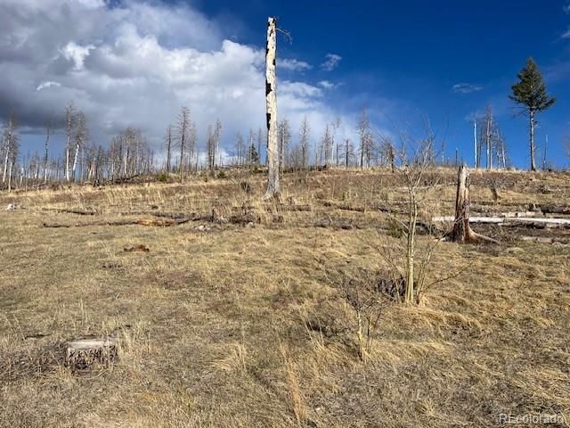 Lot 1020 & 1021 Hassan Lane, Fort Garland, CO 81133