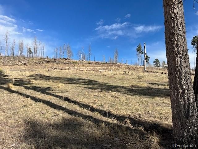 Lot 1020 & 1021 Hassan Lane, Fort Garland, CO 81133