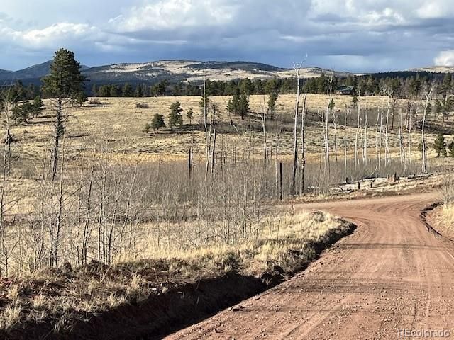 Lot 1020 & 1021 Hassan Lane, Fort Garland, CO 81133