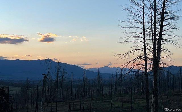 Lot 1020 & 1021 Hassan Lane, Fort Garland, CO 81133