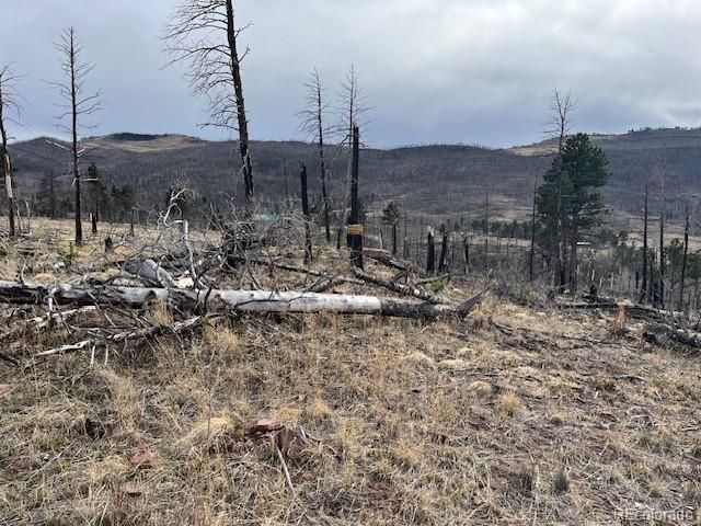 Lot 1020 & 1021 Hassan Lane, Fort Garland, CO 81133