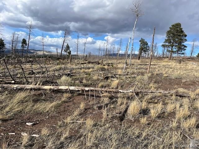 Lot 1020 & 1021 Hassan Lane, Fort Garland, CO 81133