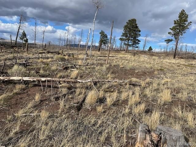 Lot 1020 & 1021 Hassan Lane, Fort Garland, CO 81133
