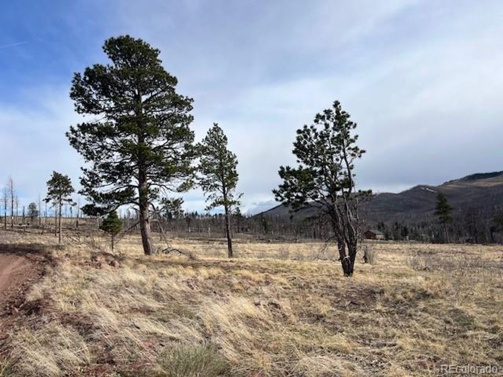 Lot 1020 & 1021 Hassan Lane, Fort Garland, CO 81133